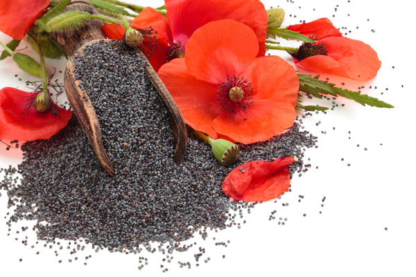 black opium image with poppy flowers and seeds